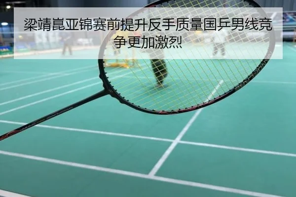 梁靖崑亚锦赛前提升反手质量国乒男线竞争更加激烈